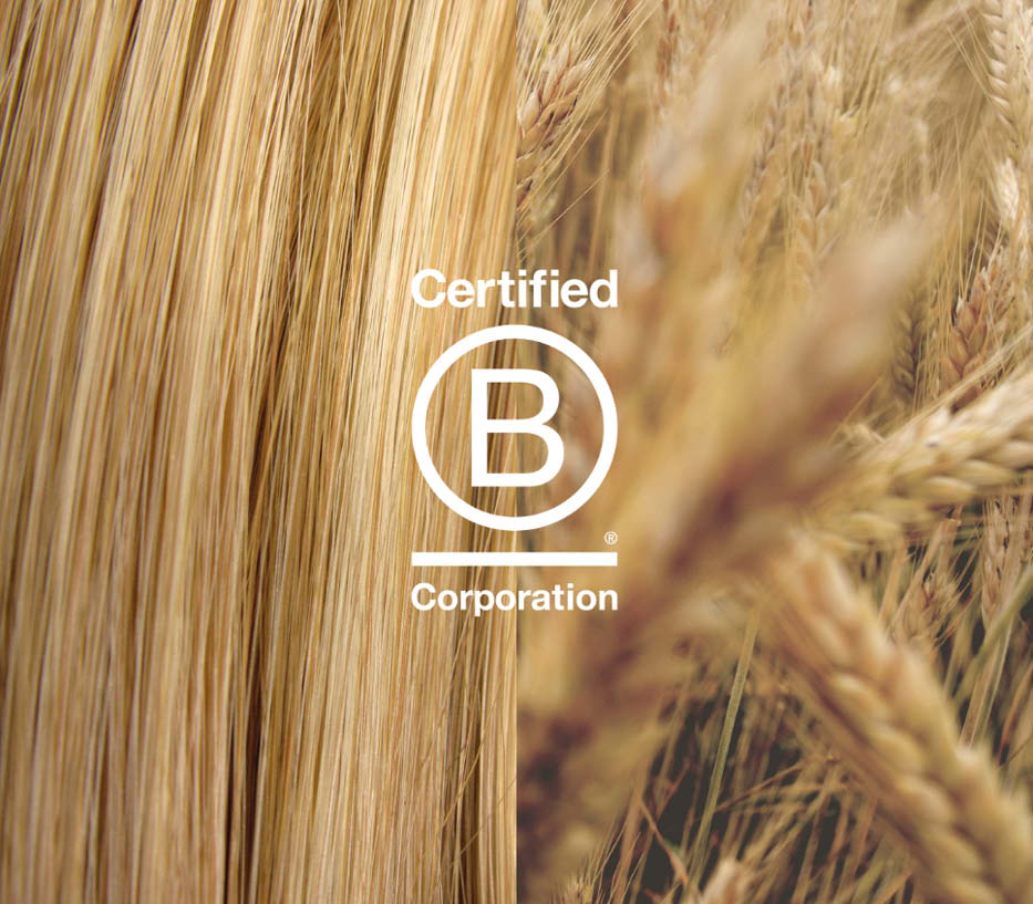 GL ist bCorp